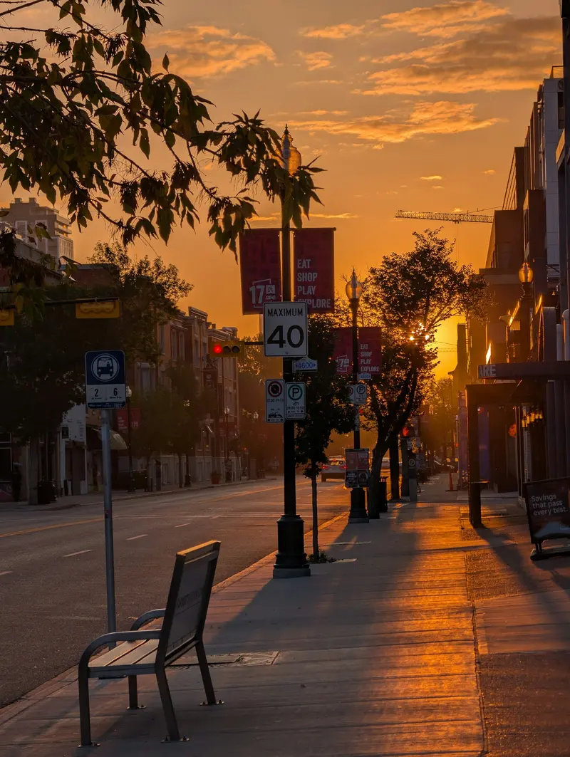 Empty street lit by low golden hour sun